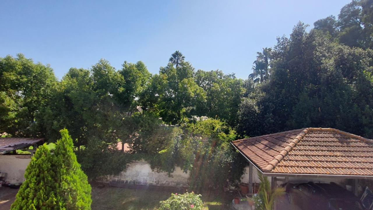 B&B Tenuta Di Vado Piano Nella Selva Di Circe Cerasella Buitenkant foto